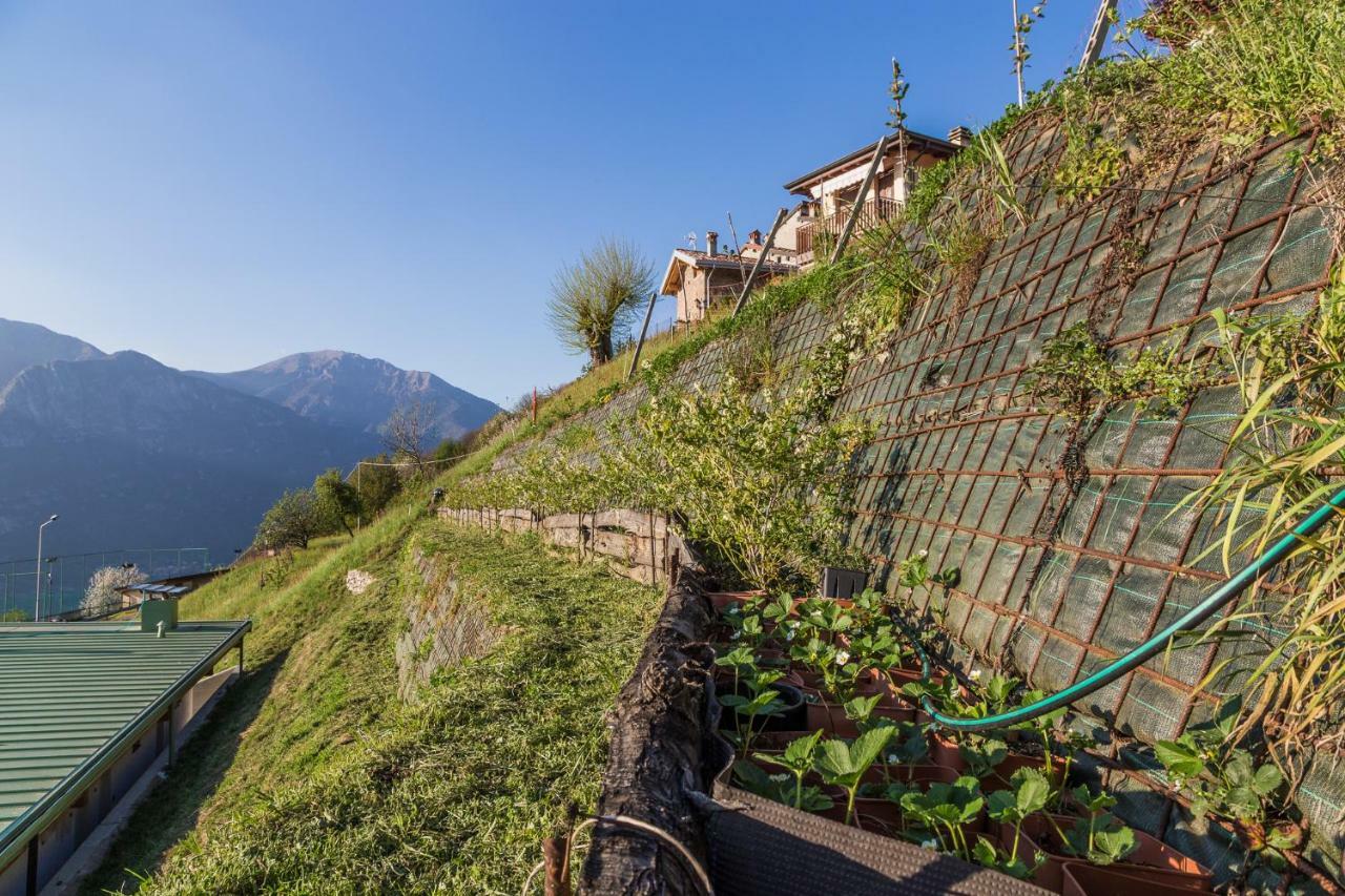 Agriturismo Alveare Sul Lago Pisogne Exterior photo
